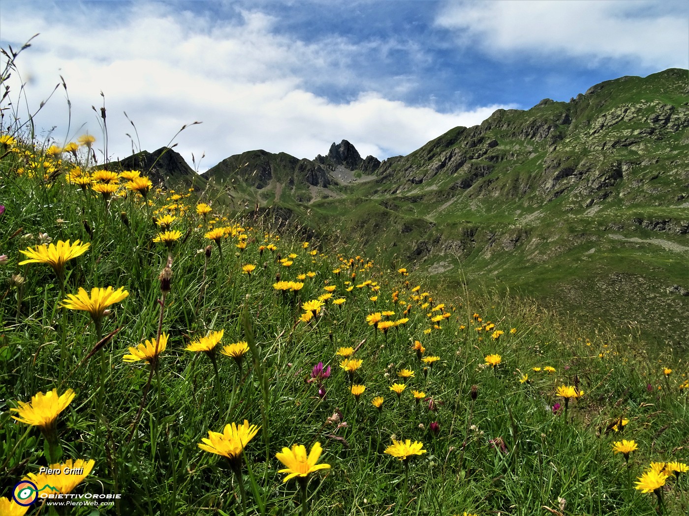 63 Prati colorati di giallo con vista in Valletto.JPG